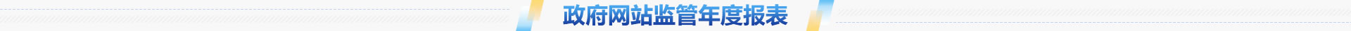 政府網(wǎng)站監(jiān)管年度報表