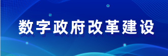 數(shù)字政府改革建設(shè)