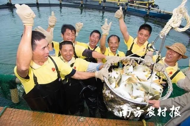 恒興公司供圖 圖片