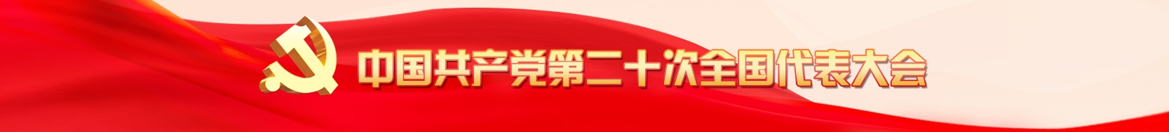 二十大會