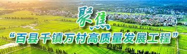 聚焦“百縣千鎮(zhèn)萬村高質(zhì)量發(fā)展工程”