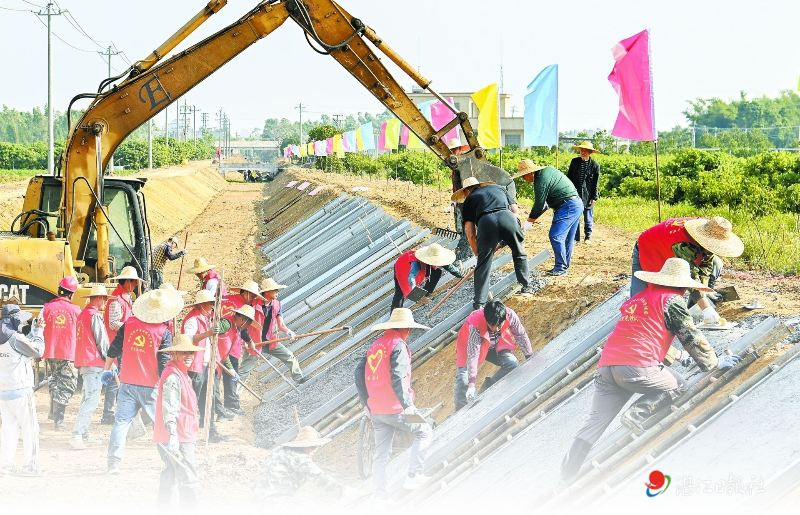 湛江“七項行動”點燃全民共建家園熱情