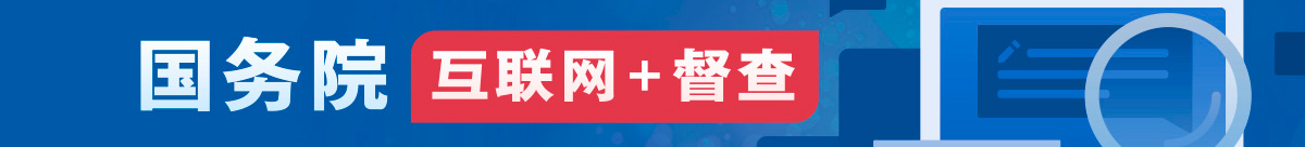 互聯(lián)網(wǎng)+督查