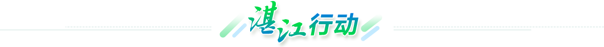 湛江行動